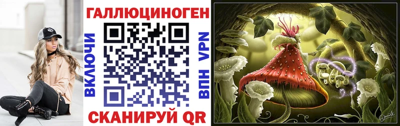 МЕГА ссылка  купить   Шлиссельбург  Псилоцибиновые грибы Cubensis 
